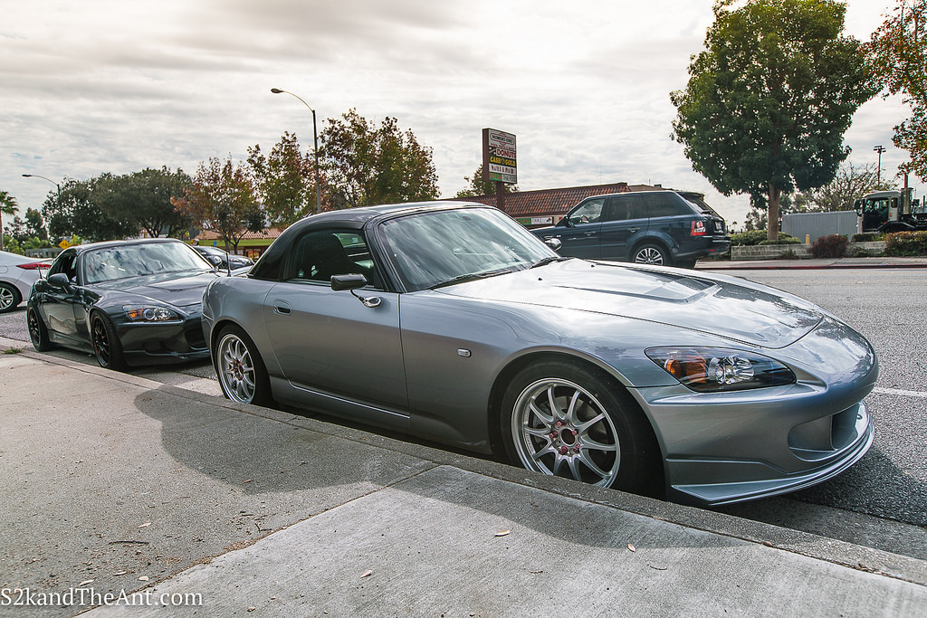 Life: The Chronicles Year 8 – The S2k and the Ant